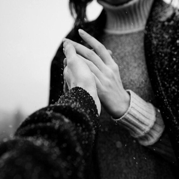 Яндекс Фото Картинки