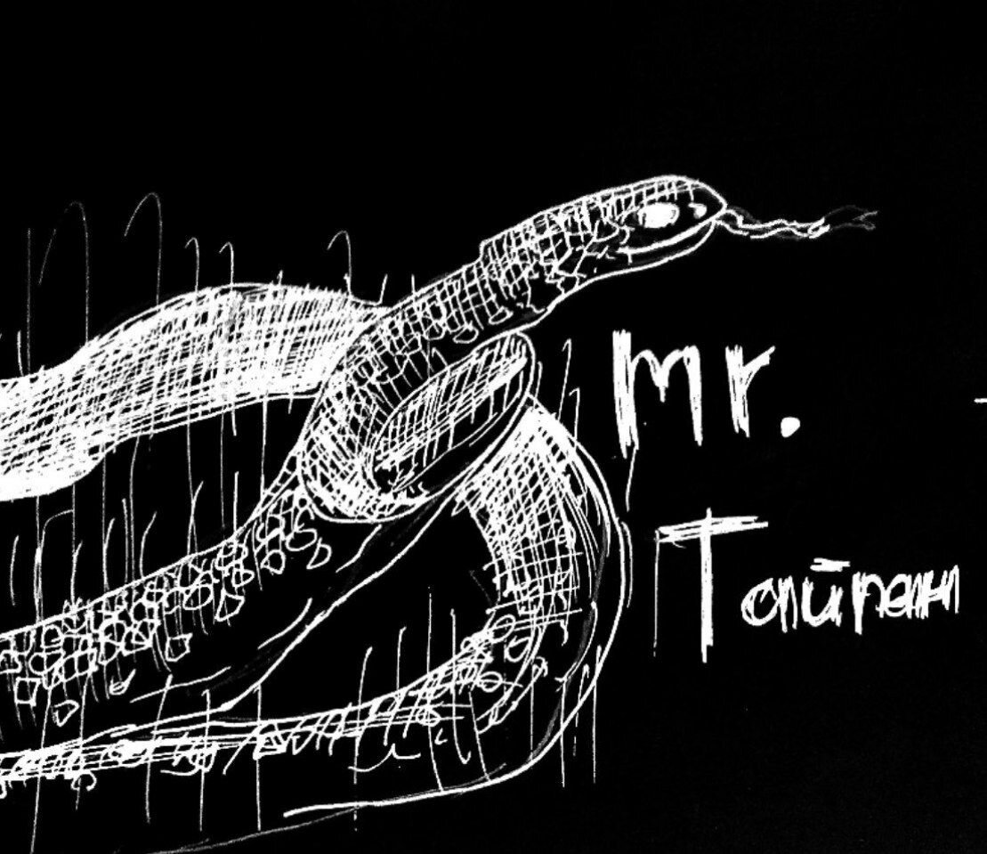 Мистер Тайпан