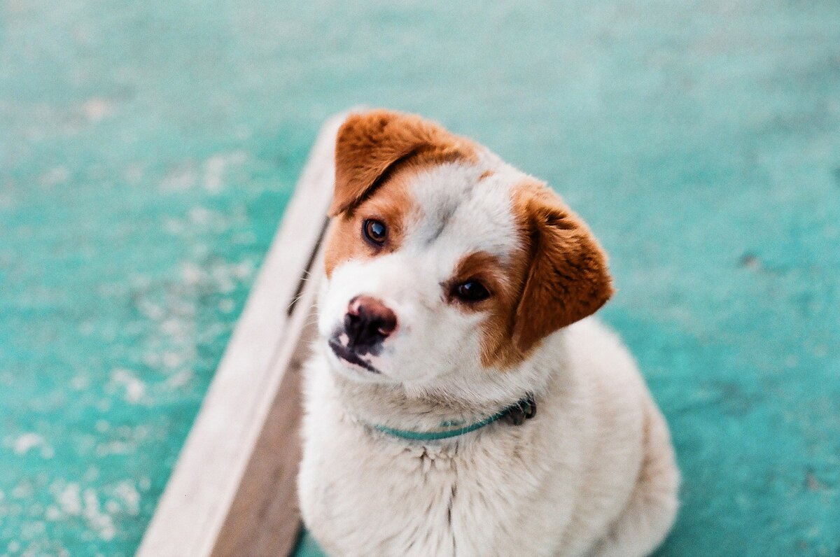 Источник фото: pixabay.com