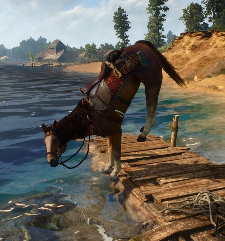 Плотва ведьмак. Плотва на крыше ведьмак. Ведьмак 3 дикая охота плотва. Ведьмак 3 нильфгаардский конь. Плотва лошадь.