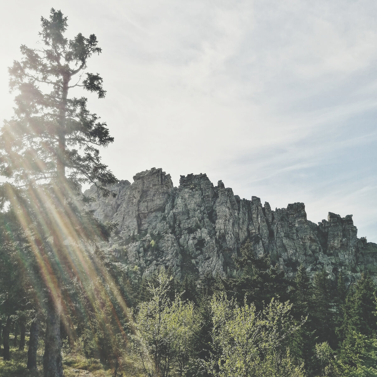 Гребень каменного дракона