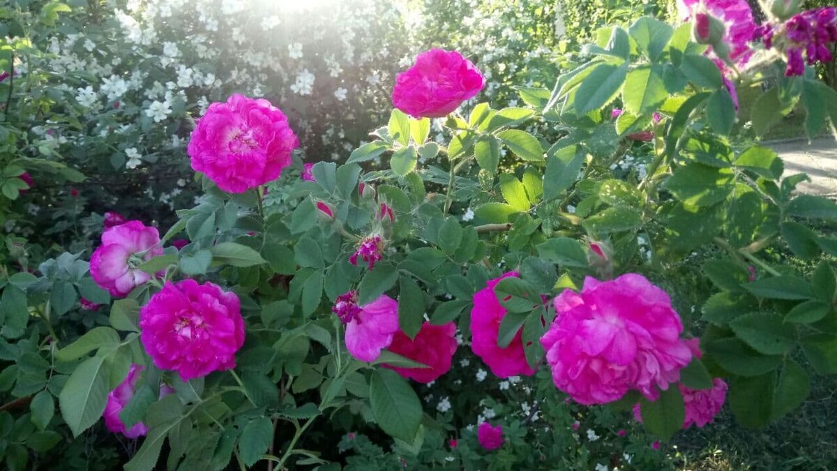 Фото автора.