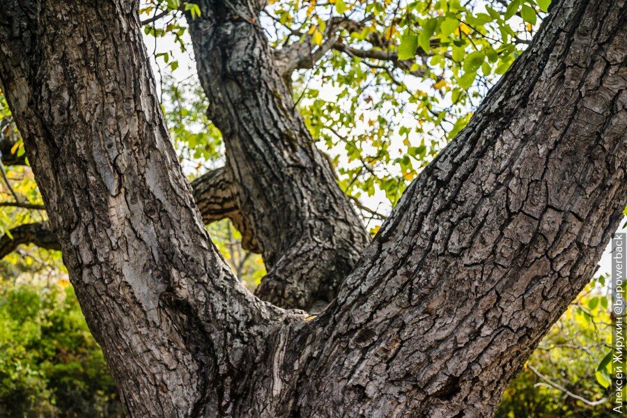 Где в Крыму снимали фильм "Кавказская пленница". Показываю места ...