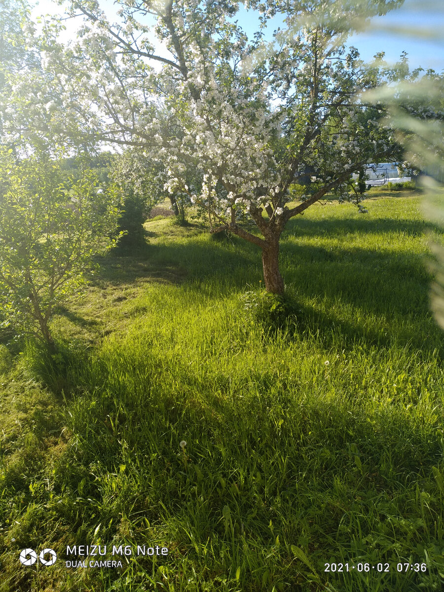 Близится день к вечеру,делать как-то нечего...