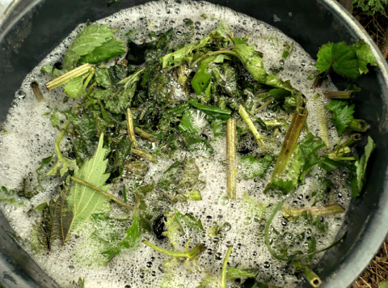 В публикации использованы фото из открытых источников