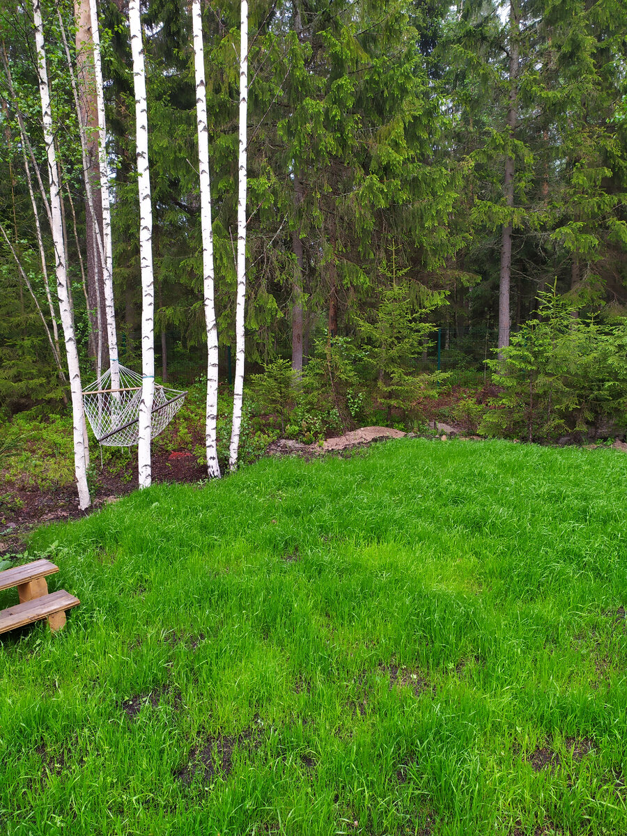 вид болота через месяц