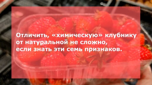 Семь отличий натуральной клубники от «химической»