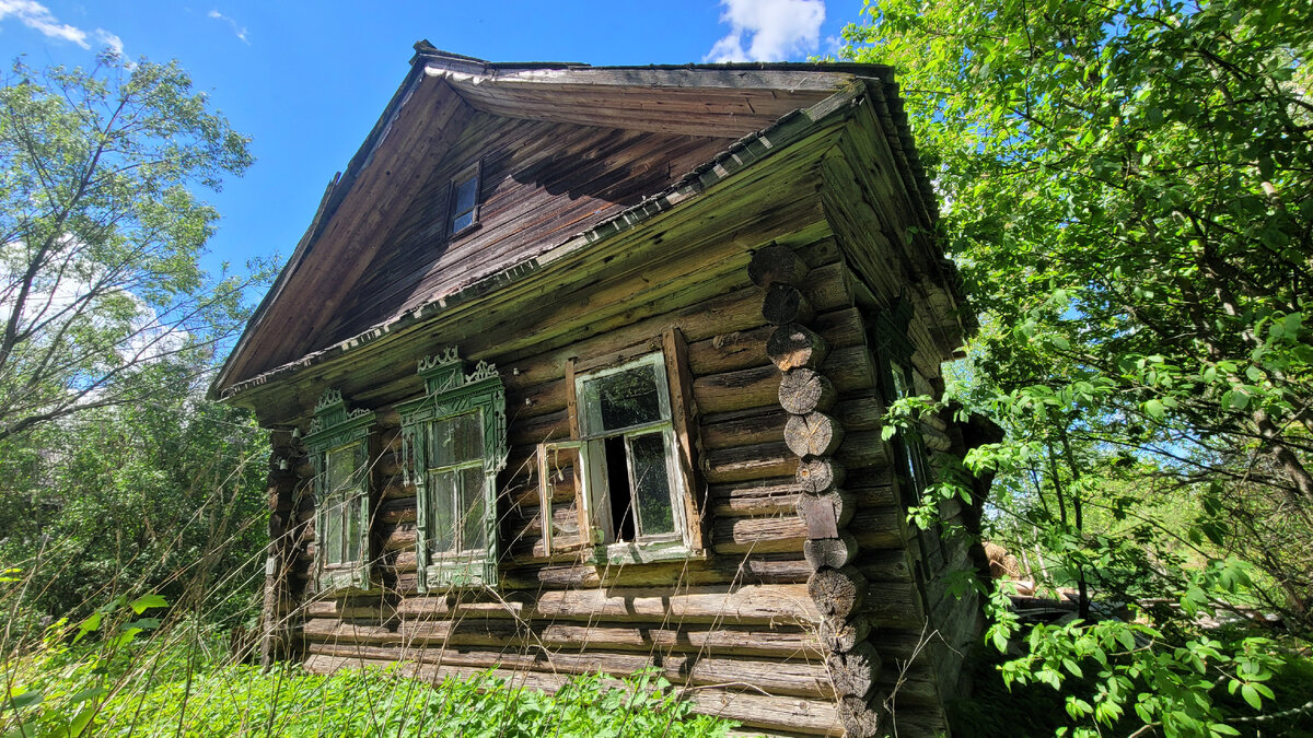 Нетронутая заброшенная деревня. Показываю, как выживает Отшельник в глуши  Тверской области | Русские тайны | Дзен