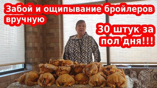 ЗАБОЙ БРОЙЛЕРА от начала до конца. Готовим мясо бройлера к продаже от А до Я