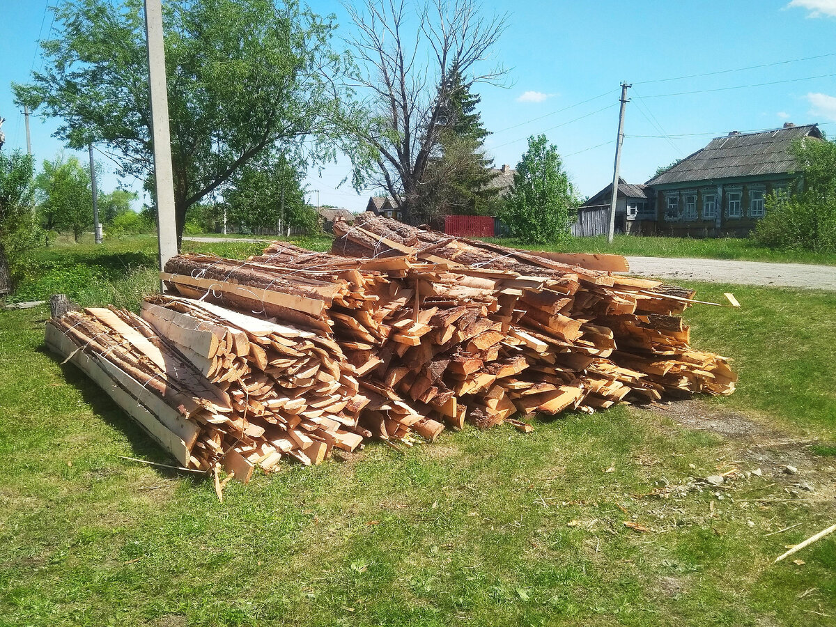 Столько привез лесовоз. Фото автора