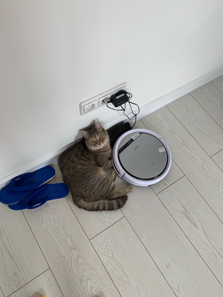 mr. Claus одобряет