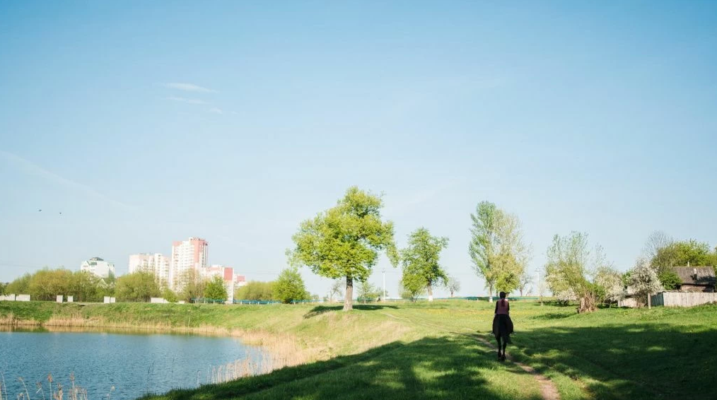 Конно-спортивная школа в Гомеле.