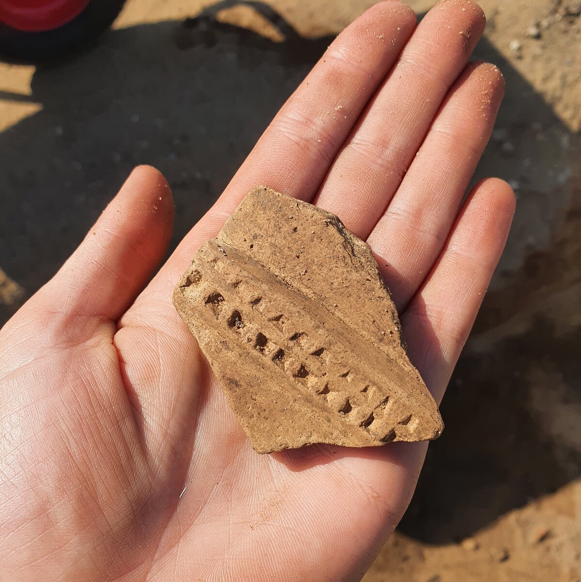 Осколок амфоры на ладони археолога. Фотография из археологического музея Хардеслева