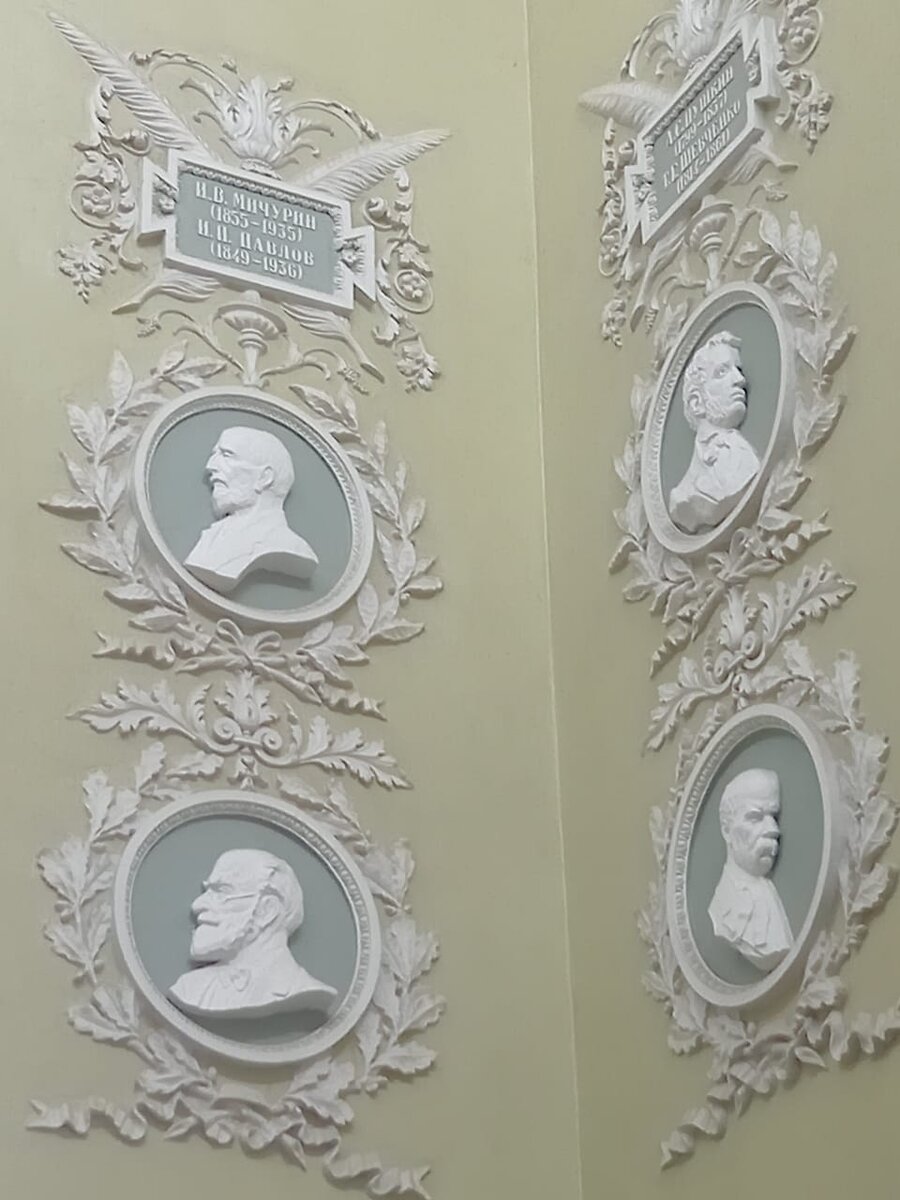 Медальоны с учеными, писателями