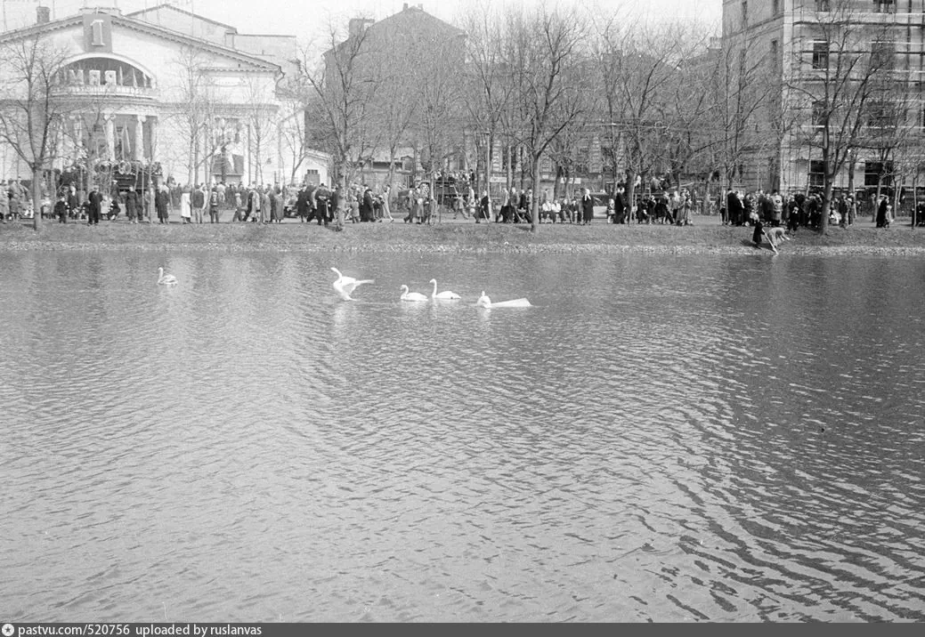 Чистопрудный бульвар, 1957 г. В левом верхнем углу - кинотеатр "Колизей". Источник: https://pastvu.com/p/520756.