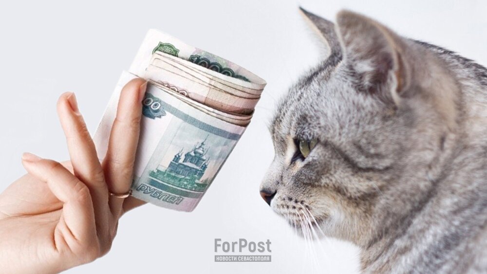 Коллаж ForPost