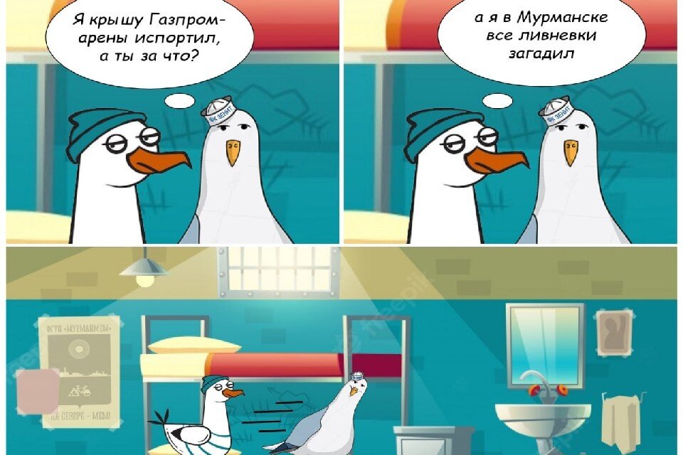     Мурманская чайка на пару с чайкой из Петербурга стала героем мема. Фото: t.me/murmanmem