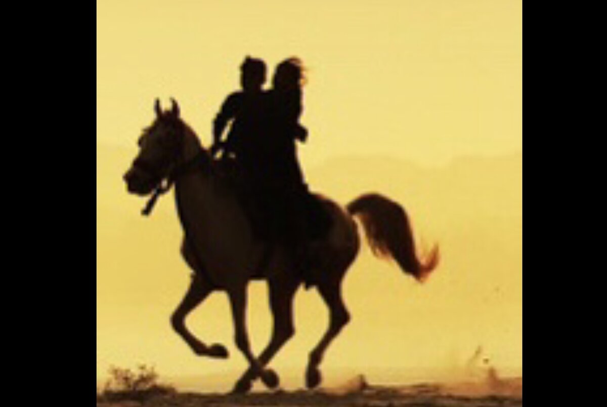 из свободных источников