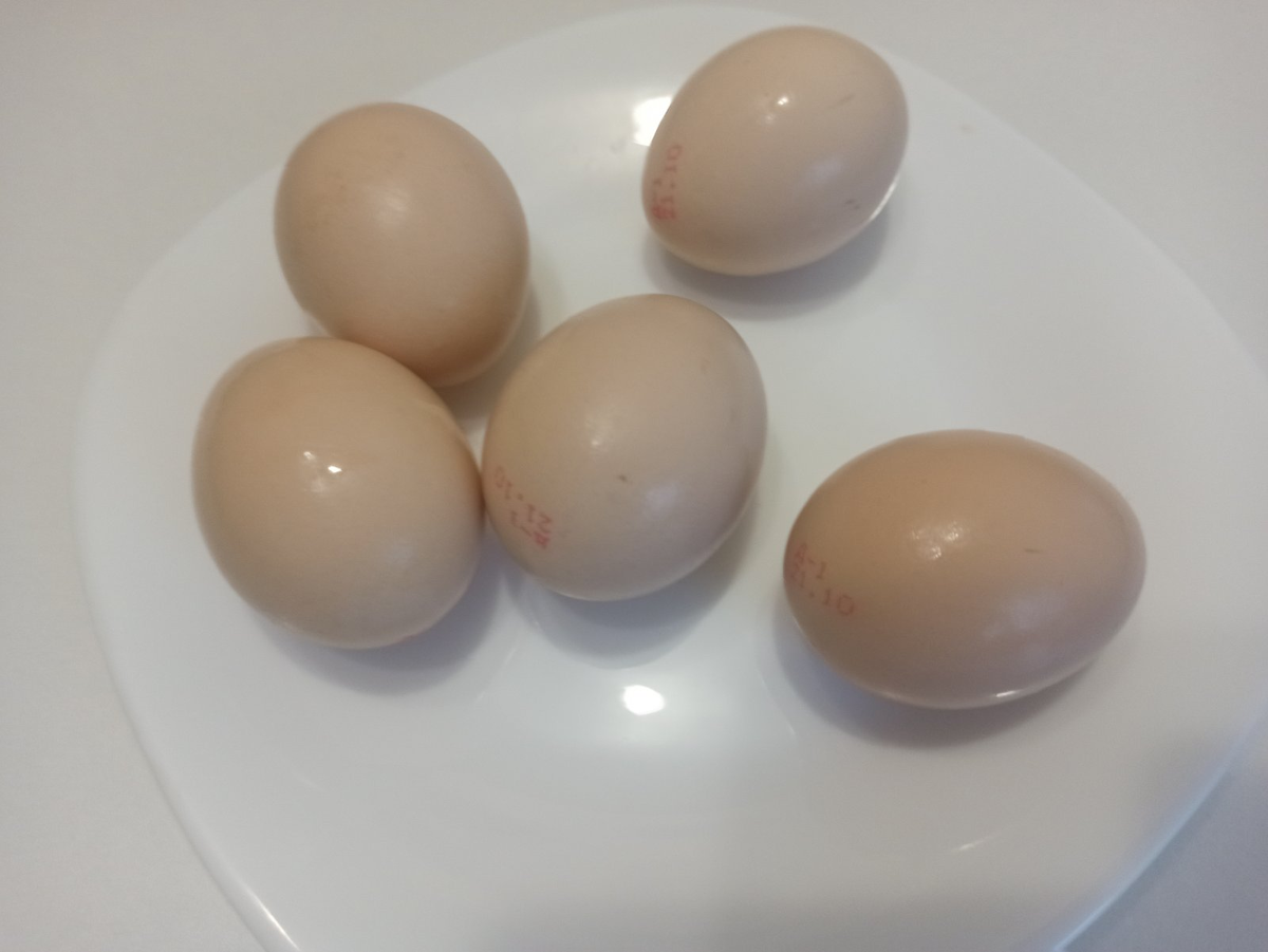 Сколько весит яйцо куриное без скорлупы вареное. Яйца по весу. Яйца на весах. Весы для яиц. Белки держащие желток.