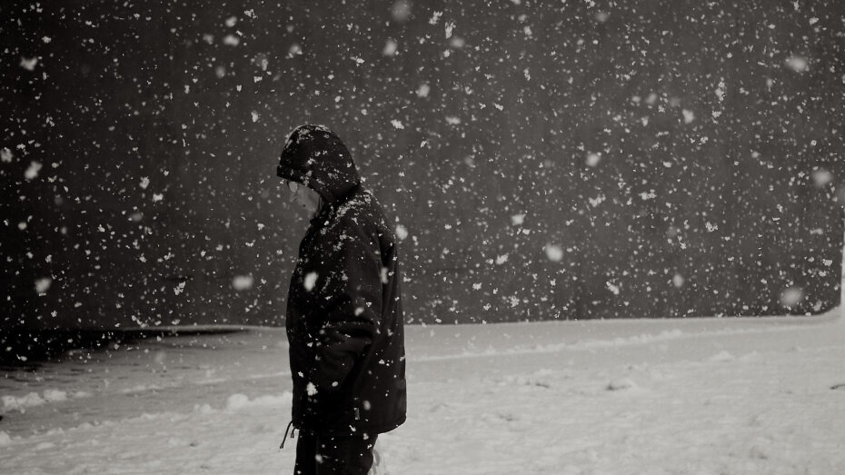   Автор фото: pxhere.com