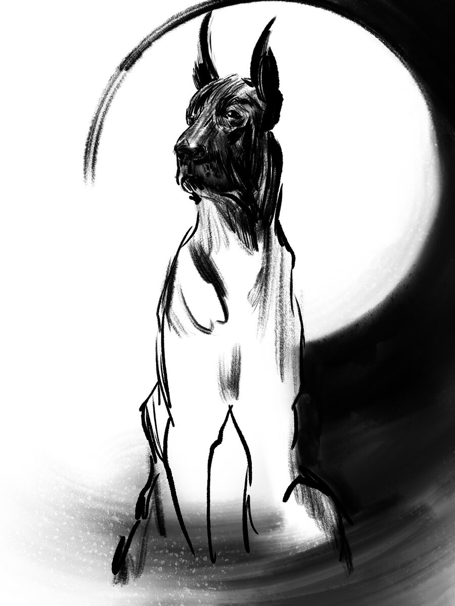 Иллюстрация Екатерины Ковалевской