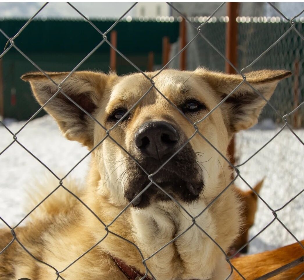 Фото- собственность канала