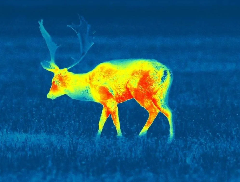 ультрафиолет и глаза. обогреватель инфракрасного излучения. инфракрасное излучение влияние на организм. инфракрасное зрение у змей. опасность инфракрасных лучей.