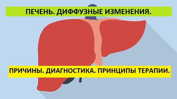 Диффузия печени. Диффузия изменения печени. Диффузные изменения печени. Диета при диффузных изменениях печени. Диффузная печень форум