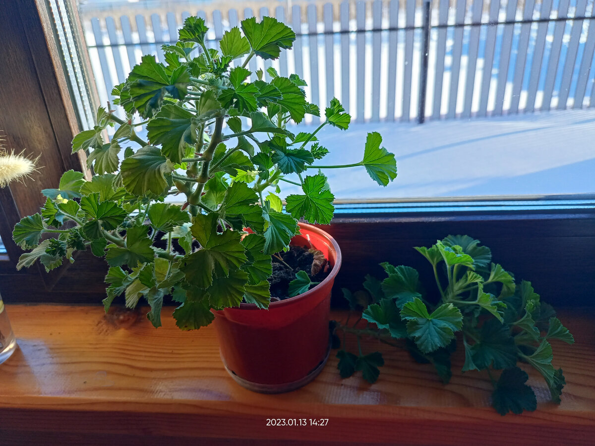 Обрезаю все что торчит 