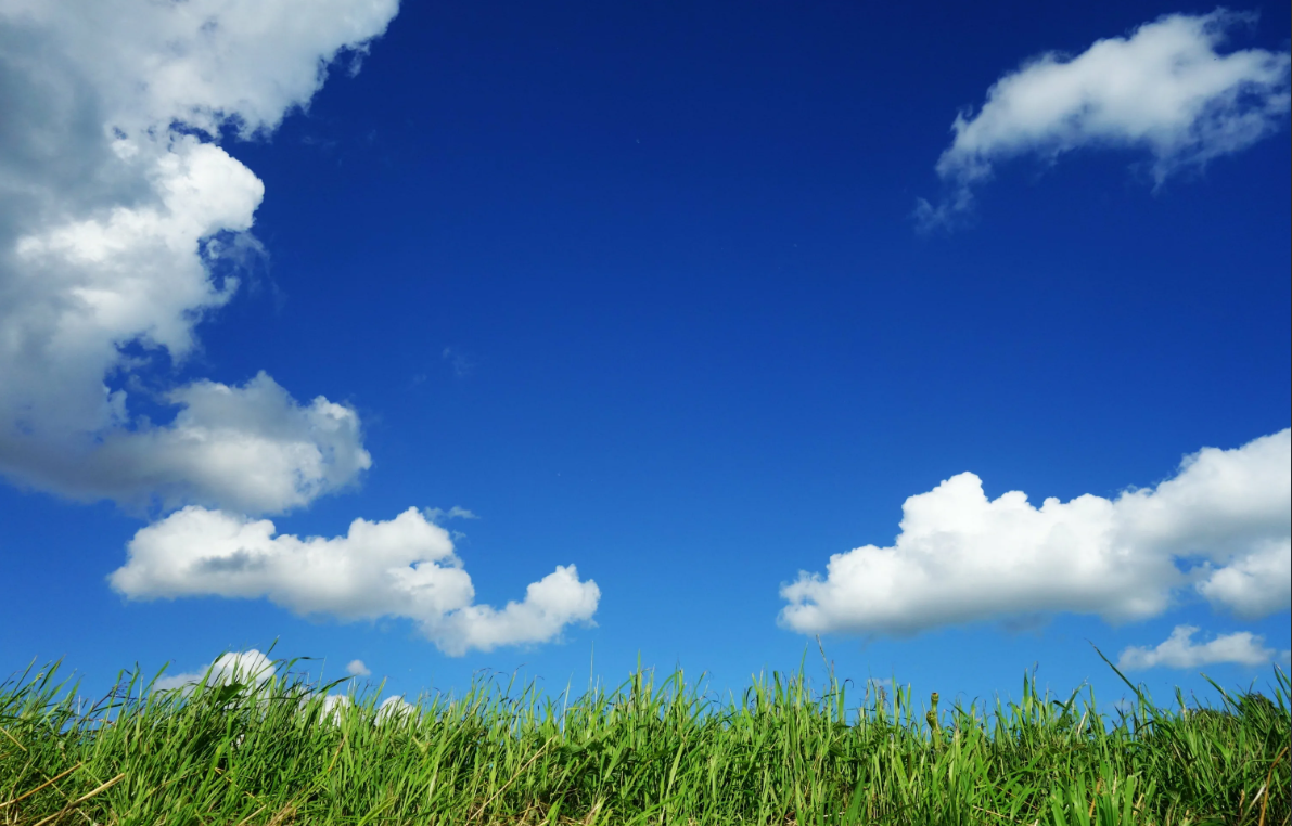 фото источник яндекс картинки