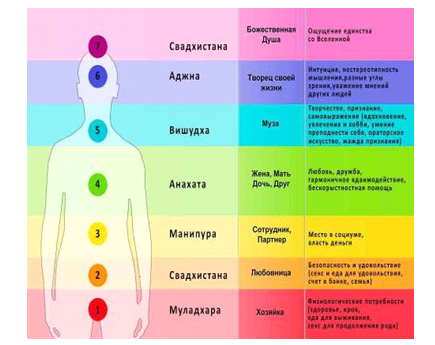 расположение чакр  