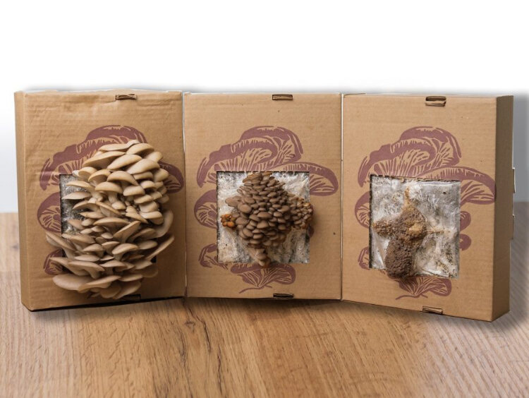 Скриншот с Вайлдберис