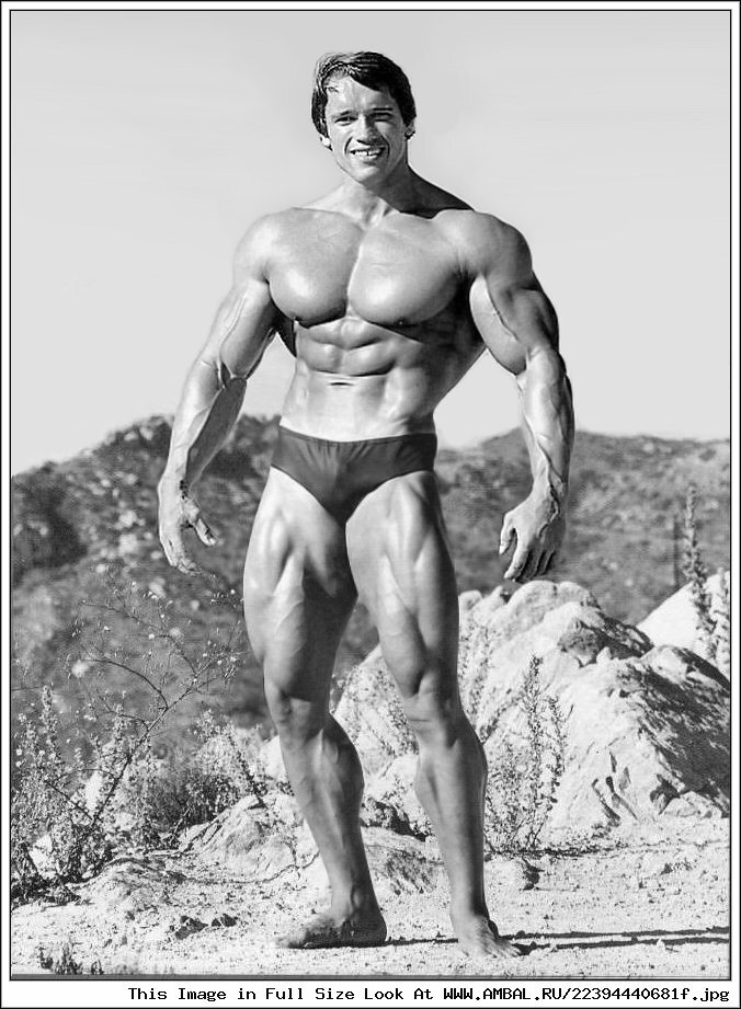 Арнольд Шварценнегер 