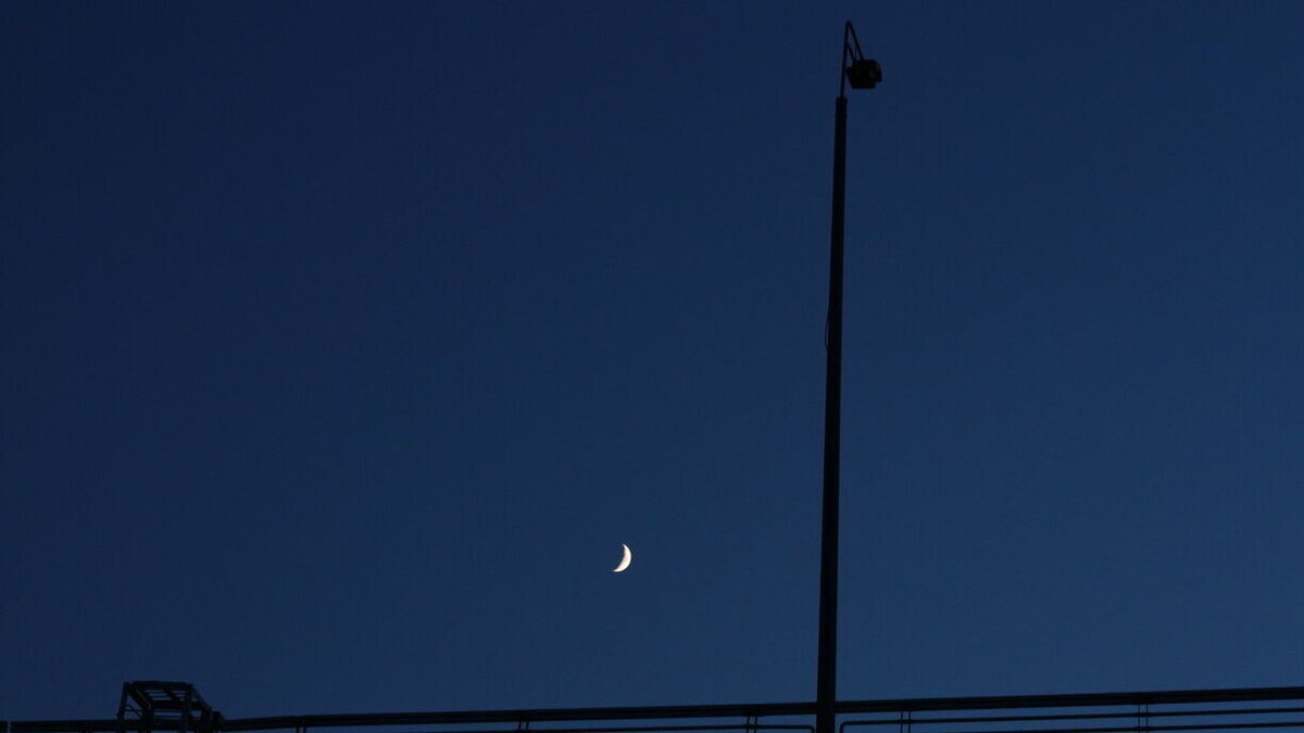     На минувших выходных омичи сообщили об отсутствии освещения в природном парке в часы работы.