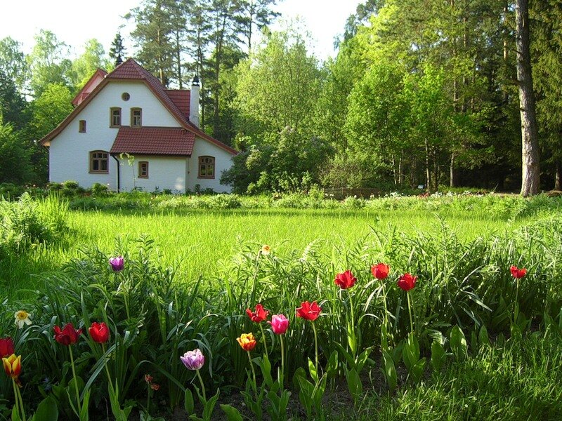 Имение с землями. Дом родовое поместье усадьба. Родовое поместье в России. Домик в родовом поместье. Родовое поместье в лесу.