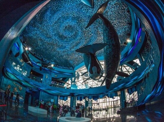 ФОТО: PRIMOCEAN.RU 