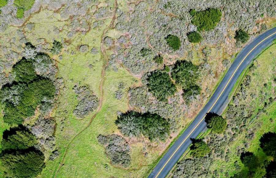    Фото: pixnio.com