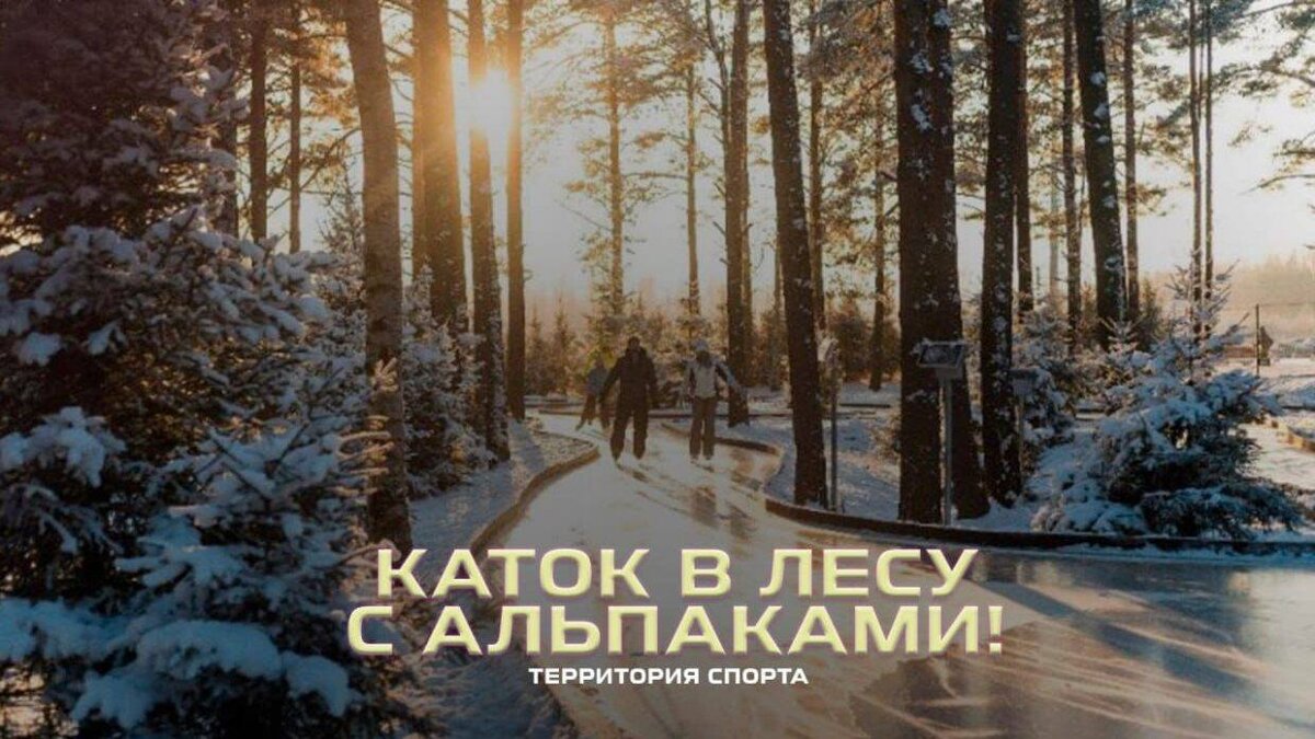    Фото: Спорт День за Днем