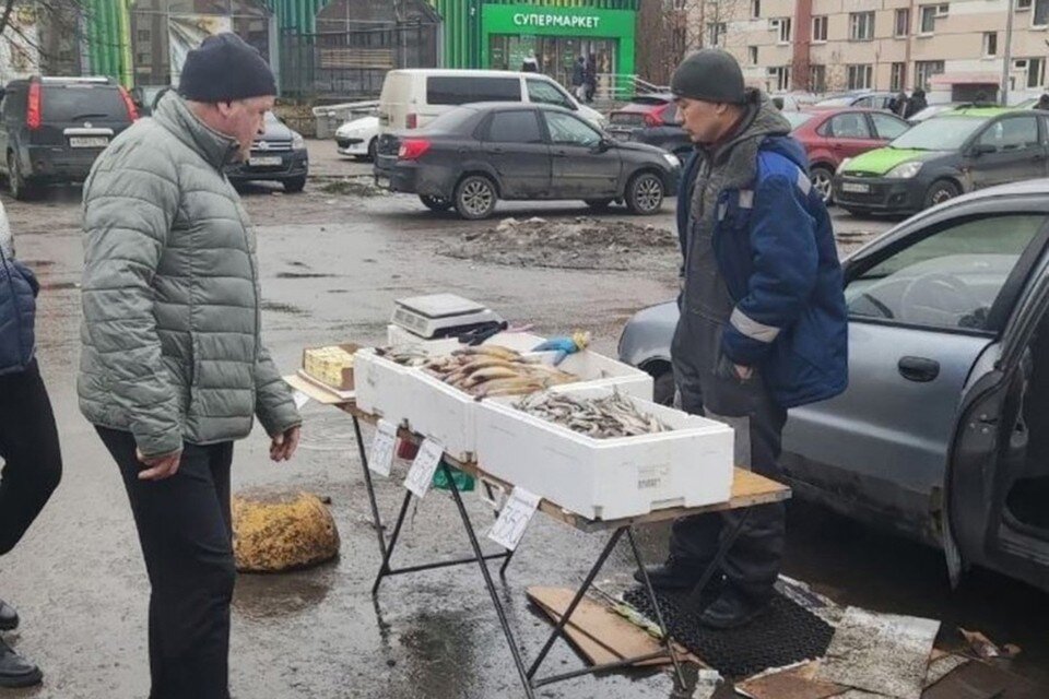     В районе Комендантского проспекта торговцы выдают прошлогоднюю корюшку за свежую. Фото: t.me/Komenda24