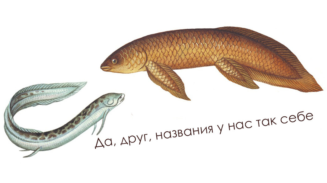  Поймете, кто из них с чешуей, а кто с рогами?