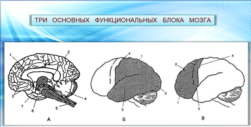 Оптическая дисграфия - симптомы, причины и профилактика и коррекция