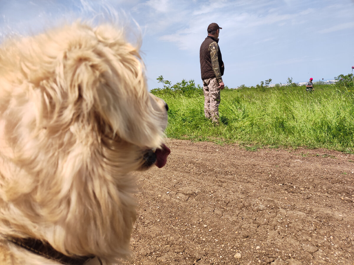 Подарок для Чачи | ТРИФОЛЬ | Дзен