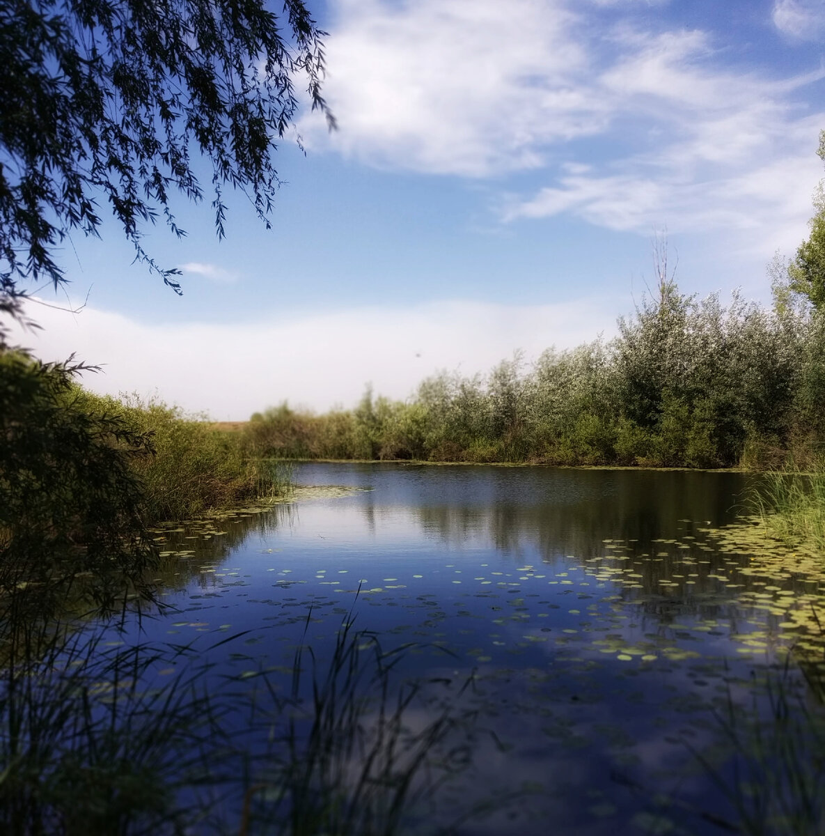 Фото картина природы. Река Ора