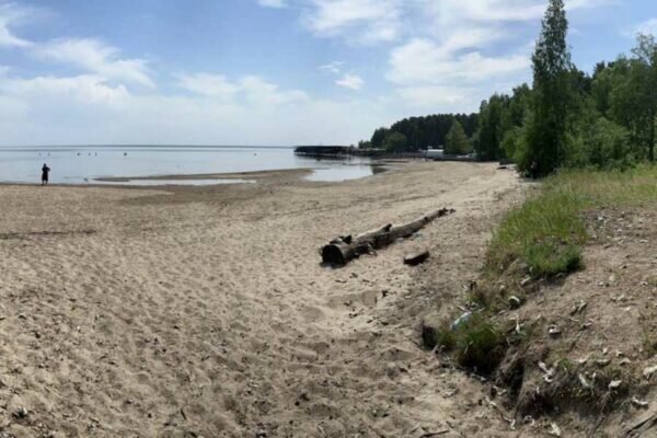    Фото: пресс-служба СУ СК РФ по Новосибирской области