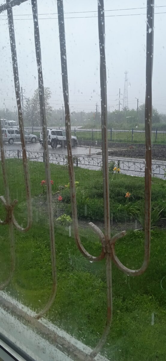 Фото из окна кабинета