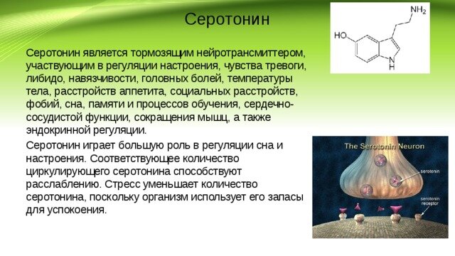 Серотонин это. Гормон серотонина. Как образуется серотонин. Нейротрансмиттер серотонин. Серотонин роль в организме человека.