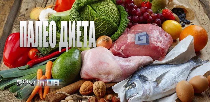 Изучи все, что нужно знать, прежде чем выбрать план диеты Палео, включая его историю, рекомендации и компоненты, а также науку, стоящую за этим режимом питания. 