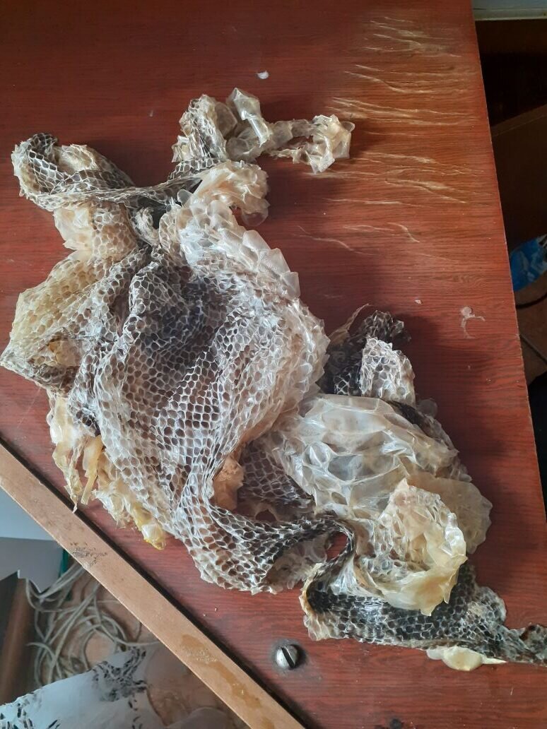 Змей выполз, а кожа осталась