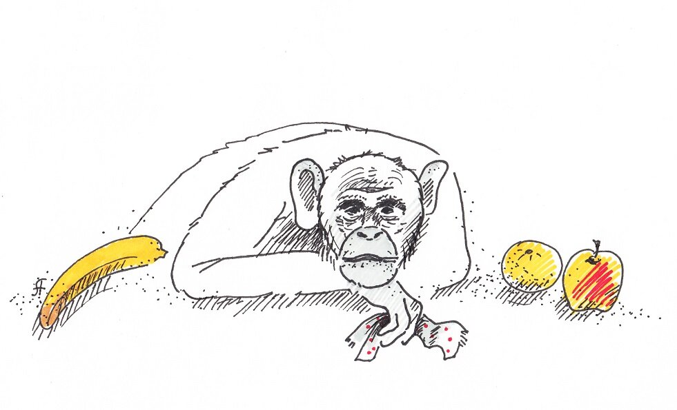 Иллюстрация Лены Солнцевой