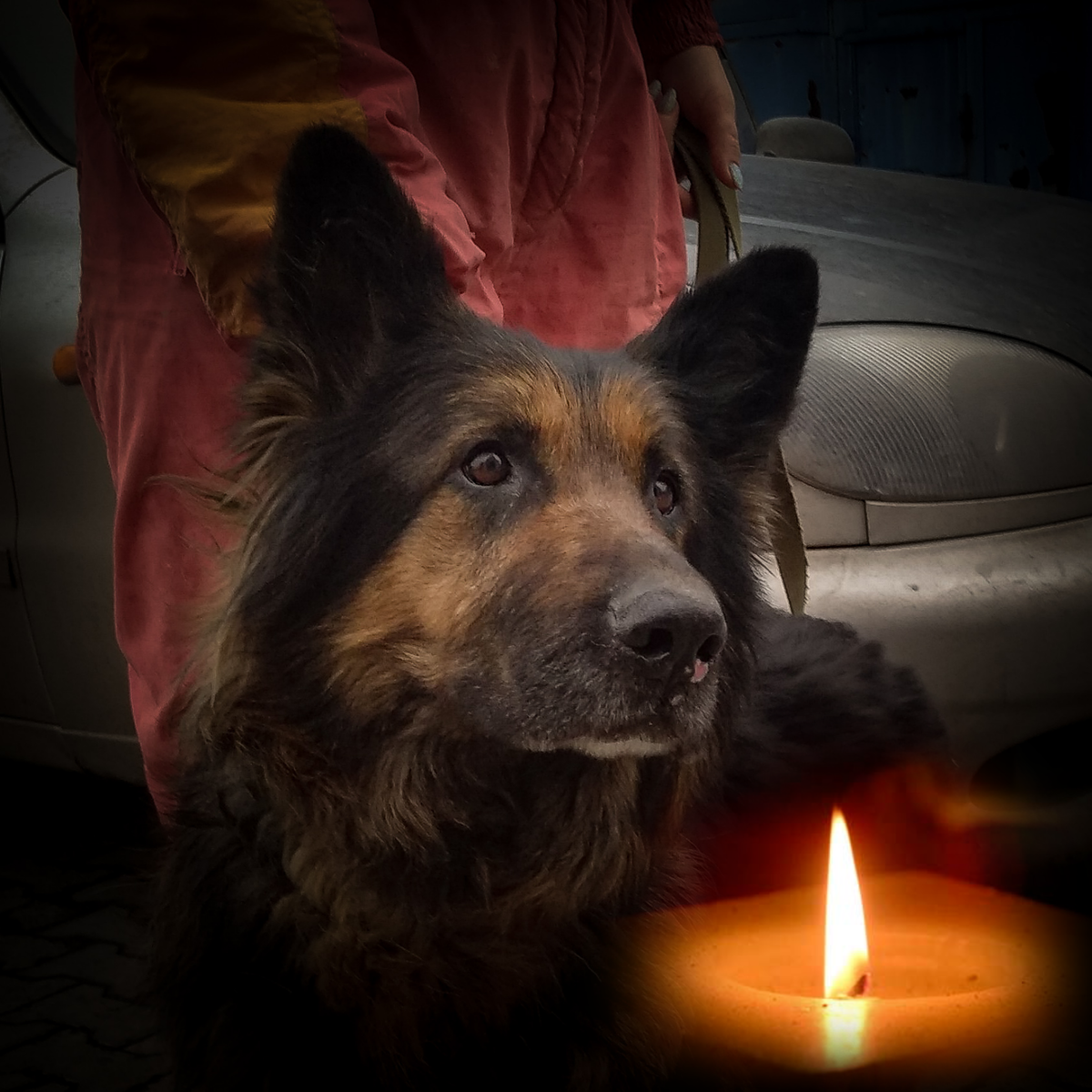 Фото: Шаталов Андрей